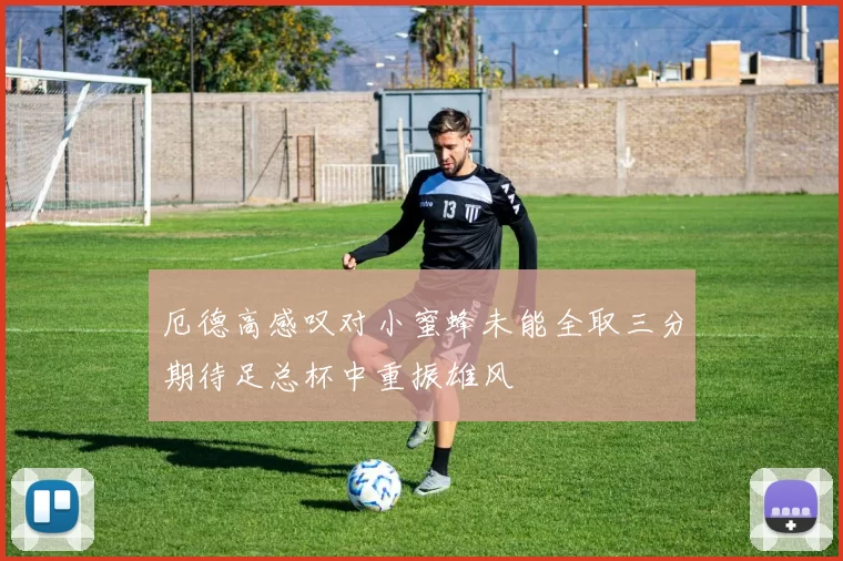 厄德高感叹对小蜜蜂未能全取三分期待足总杯中重振雄风